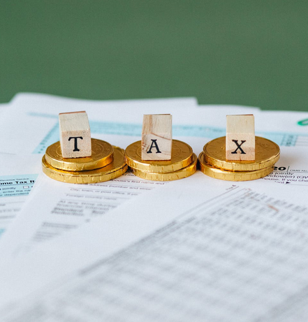 Basic Individual Tax Return